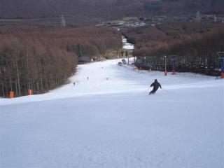 DSC04686 (Small)