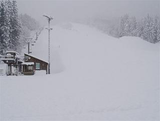 1230260142_490x368 (Small)