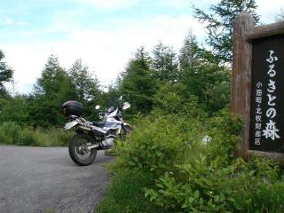 DSC06761 (Small)